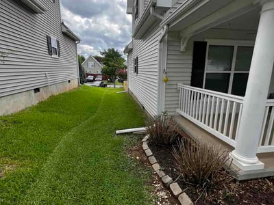 Lawn Care service in Greenville, 29601