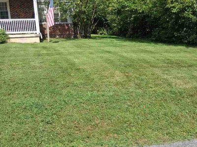 Lawn Care service in Cockeysville, 21030