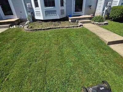 Lawn Care service in Bel Air, 21014