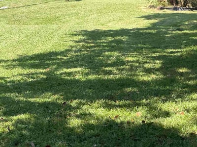 Lawn Care service in Pascagoula, 39567