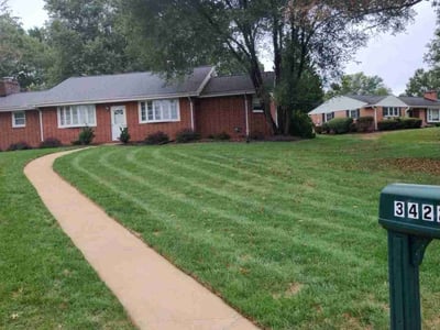 Lawn Care service in Cockeysville, 21030