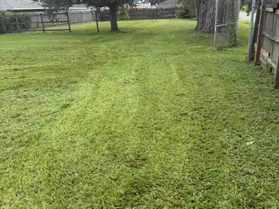 Lawn Care service in Covington, 70433