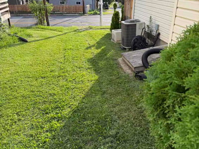 Lawn Care service in Lutherville Timonium, 21093