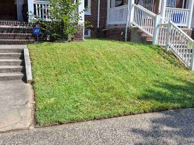 Lawn Care service in Lutherville Timonium, 21093