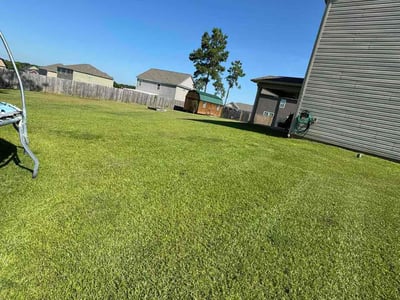 Lawn Care service in Hartsville, 29550