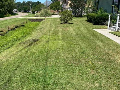 Lawn Care service in Hartsville, 29550