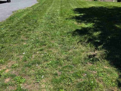 Lawn Care service in Hagerstown, 21740