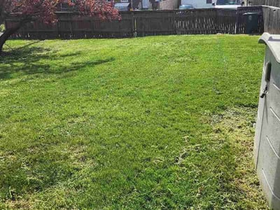 Lawn Care service in Columbia, 21044