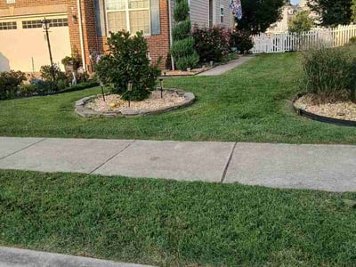 Lawn Care service in Lusby, 20657