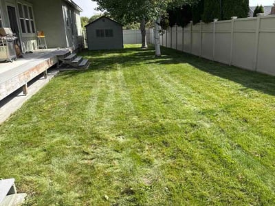 Lawn Care service in Richland, 99352