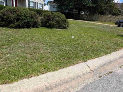Lawn Care service in Lugoff, 29078