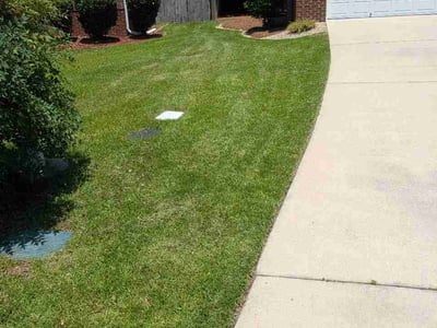 Lawn Care service in Lugoff, 29078
