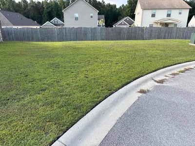 Lawn Care service in Cayce, 29033