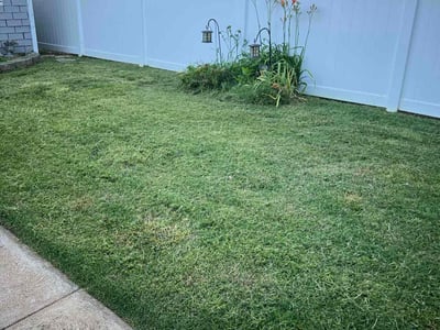 Lawn Care service in Abington, 02351
