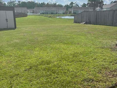 Lawn Care service in Ladson, 29456
