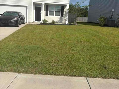 Lawn Care service in Ladson, 29456
