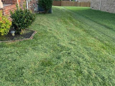 Lawn Care service in Stoughton, 02072