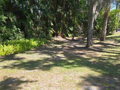 Leaf Removal service in Bradenton, 34205