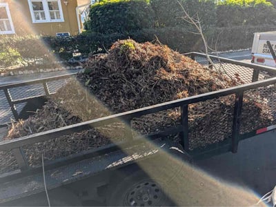 Leaf Removal service in Bradenton, 34205
