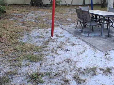 Leaf Removal service in Bradenton, 34205