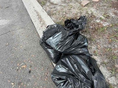 Leaf Removal service in Bradenton, 34205