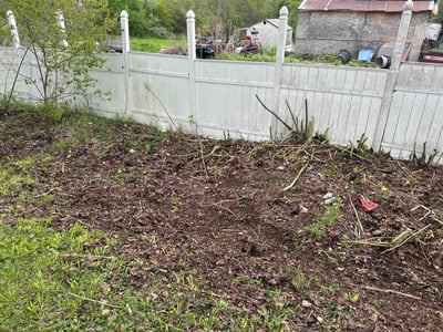 Leaf Removal service in Bradenton, 34205
