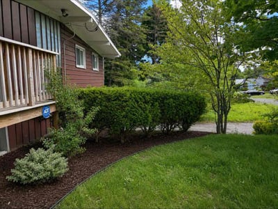 Leaf Removal service in Bradenton, 34205