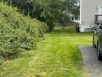 Lawn Care service in Norwood, 02062