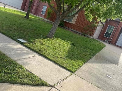Lawn Care service in Greenwich, 06830