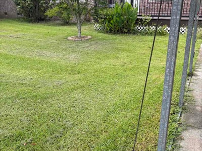 Lawn Care service in Fall River, 02720