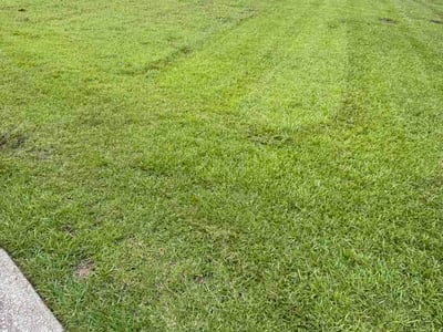Lawn Care service in Darlington, 29532