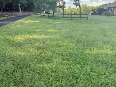 Lawn Care service in Morganton, 28655