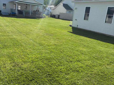 Lawn Care service in Clarks Summit, 18411
