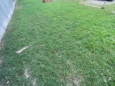 Lawn Care service in Newburyport, 01950