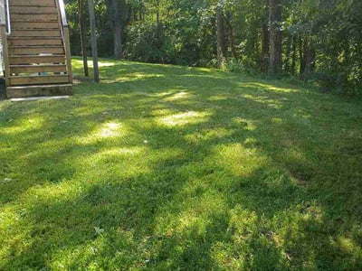 Lawn Care service in Haverhill, 01830