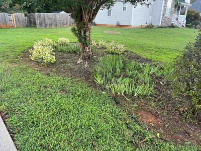 Lawn Care service in North Providence, 02911
