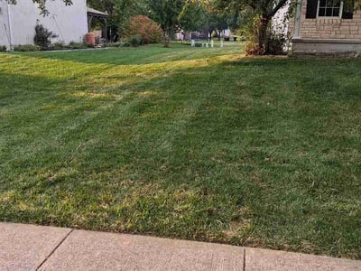 Lawn Care service in Delaware, 43015