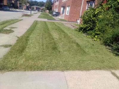 Lawn Care service in Wellington, 44090