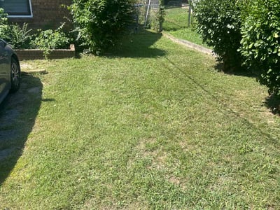 Lawn Care service in Portland, 04101