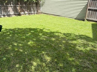 Lawn Care service in Johns Island, 29455