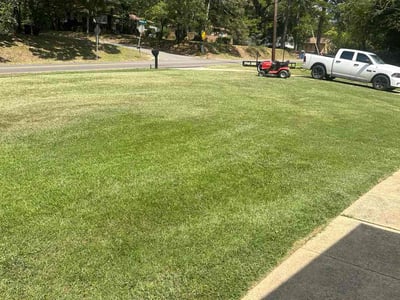 Lawn Care service in Montevallo, 35115