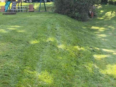 Lawn Care service in Tarentum, 15084