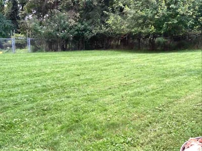 Lawn Care service in Tarentum, 15084