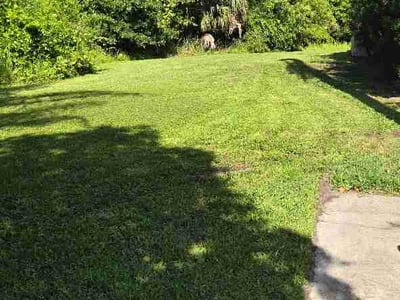 Lawn Care service in Coventry, 02816