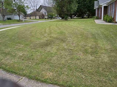 Lawn Care service in Tiverton, 02878