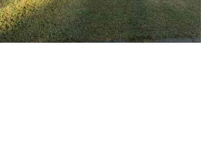 Lawn Care service in Malden, 02148