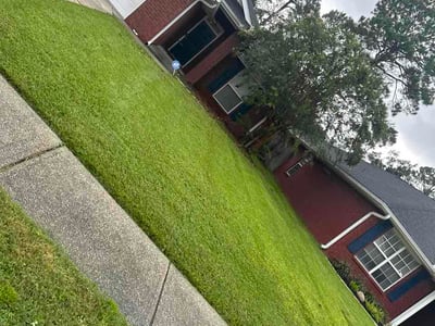 Lawn Care service in Miramar Beach, 32550
