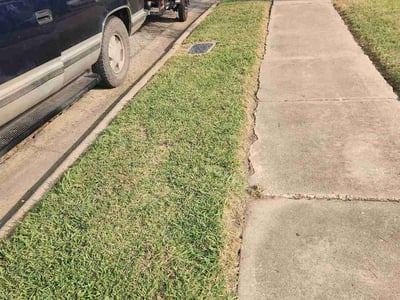 Lawn Care service in Norwalk, 06851