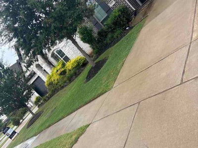 Lawn Care service in Brownsville, 78520