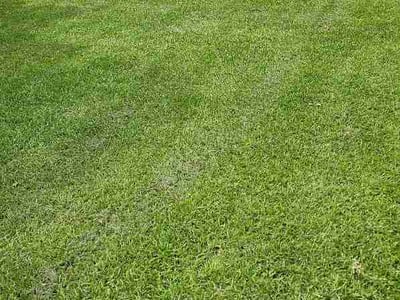 Lawn Care service in Plaquemine, 70764